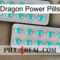 Dragon Power Pills 29